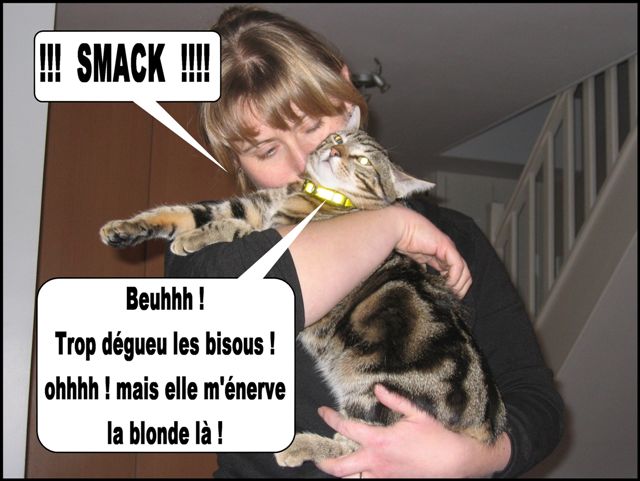 Image hébergée par Casimages.com : votre hébergeur d images simple et gratuit