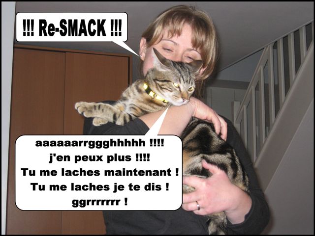 Image hébergée par Casimages.com : votre hébergeur d images simple et gratuit