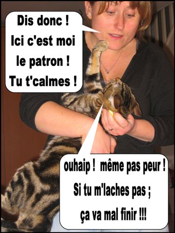 Image hébergée par Casimages.com : votre hébergeur d images simple et gratuit