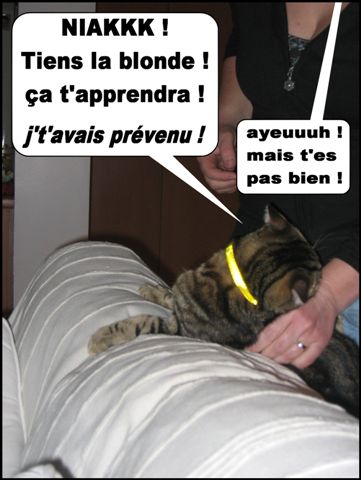 Image hébergée par Casimages.com : votre hébergeur d images simple et gratuit