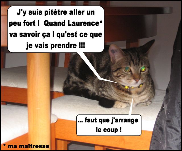 Image hébergée par Casimages.com : votre hébergeur d images simple et gratuit