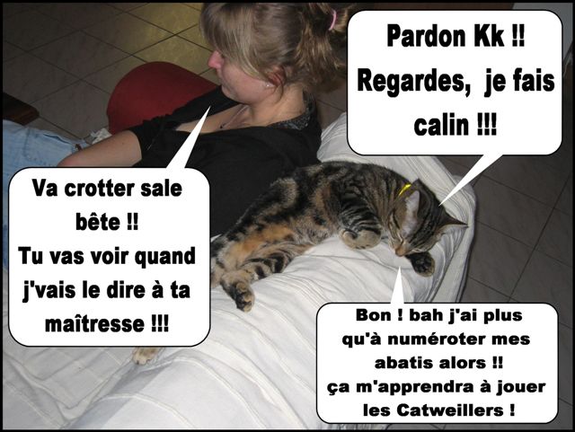 Image hébergée par Casimages.com : votre hébergeur d images simple et gratuit