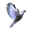 Image h&eacute;berg&eacute;e par Casimages.com : votre h&eacute;bergeur d images simple et gratuit