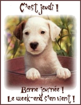 Image h&eacute;berg&eacute;e par Casimages.com : votre h&eacute;bergeur d images simple et gratuit