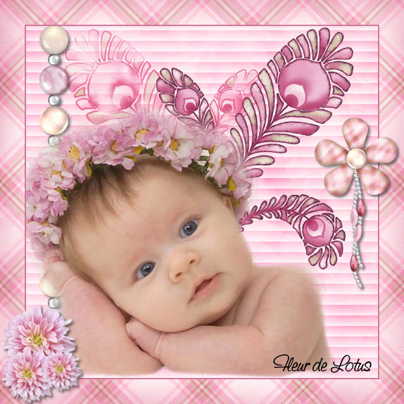 Image hébergée par Casimages.com : votre hébergeur d images simple et gratuit