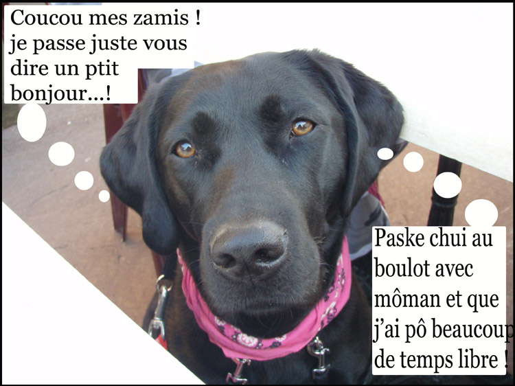 Image h�berg�e par Casimages.com : votre h�bergeur d images simple et gratuit
