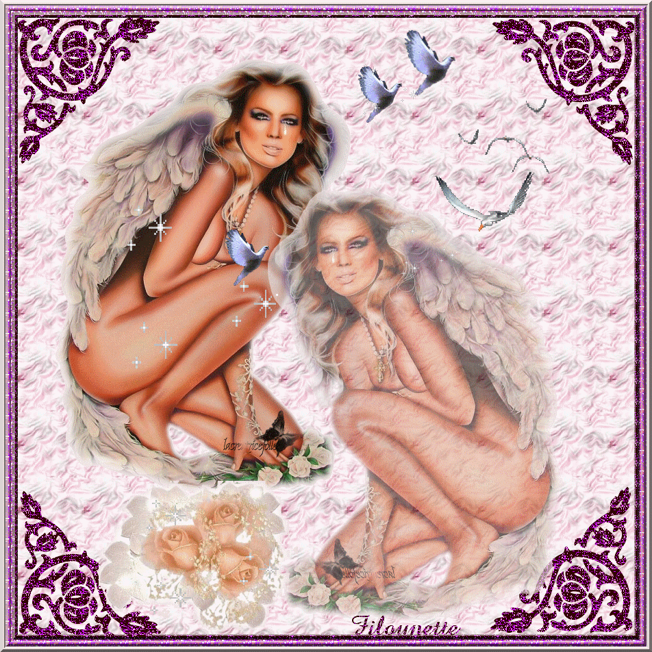 Image hébergée par Casimages.com : votre hébergeur d images simple et gratuit