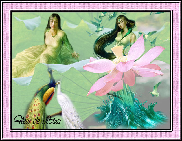 Image hébergée par Casimages.com : votre hébergeur d images simple et gratuit