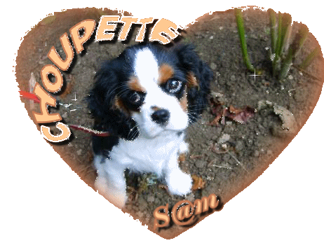 Image hberge par Casimages.com : votre hbergeur d images simple
et gratuit