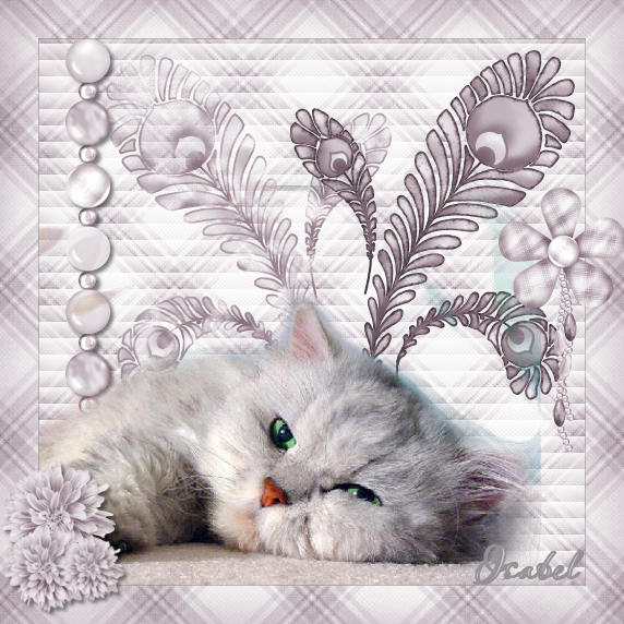 Image hébergée par Casimages.com : votre hébergeur d images simple et gratuit