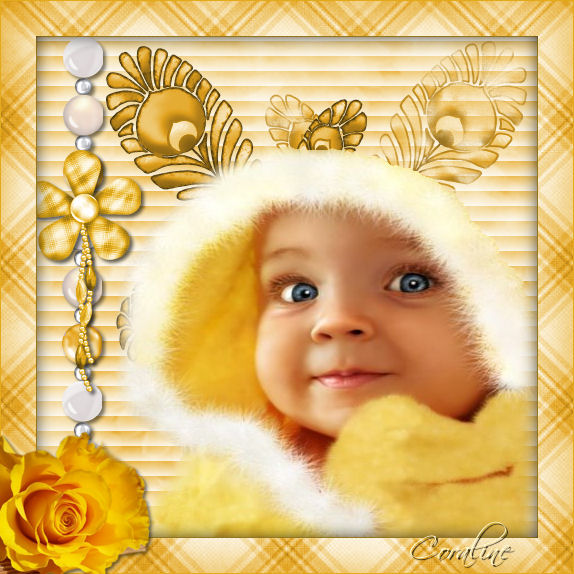 Image hébergée par Casimages.com : votre hébergeur d images simple et gratuit