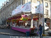 printemps 2005 (1).jpg