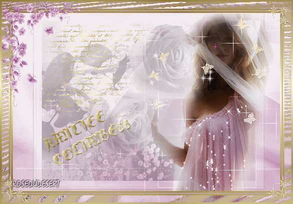 L'image �http://nsm01.casimages.com/img/2008/03/10/08031009152071391812496.gif� ne peut �tre affich�e car elle contient des erreurs.