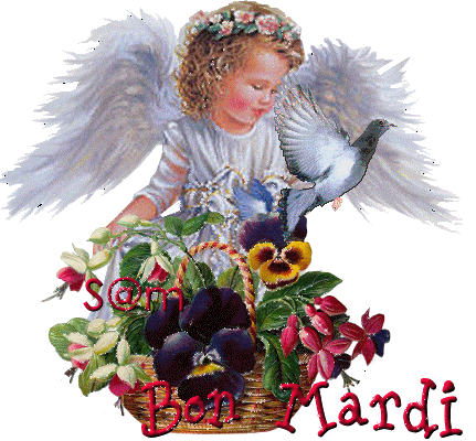 Image h�berg�e par Casimages.com : votre h�bergeur d images simple et gratuit