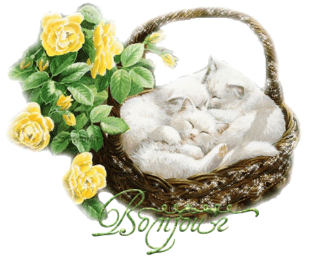 Image hberge par Casimages.com : votre hbergeur d images simple
et gratuit