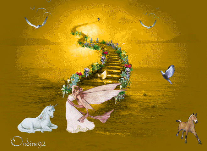 Image hébergée par Casimages.com : votre hébergeur d images simple et gratuit