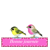 Image h&eacute;berg&eacute;e par Casimages.com : votre h&eacute;bergeur d images simple et gratuit