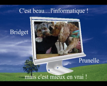 Image hébergée par Casimages.com : votre hébergeur d images simple et gratuit