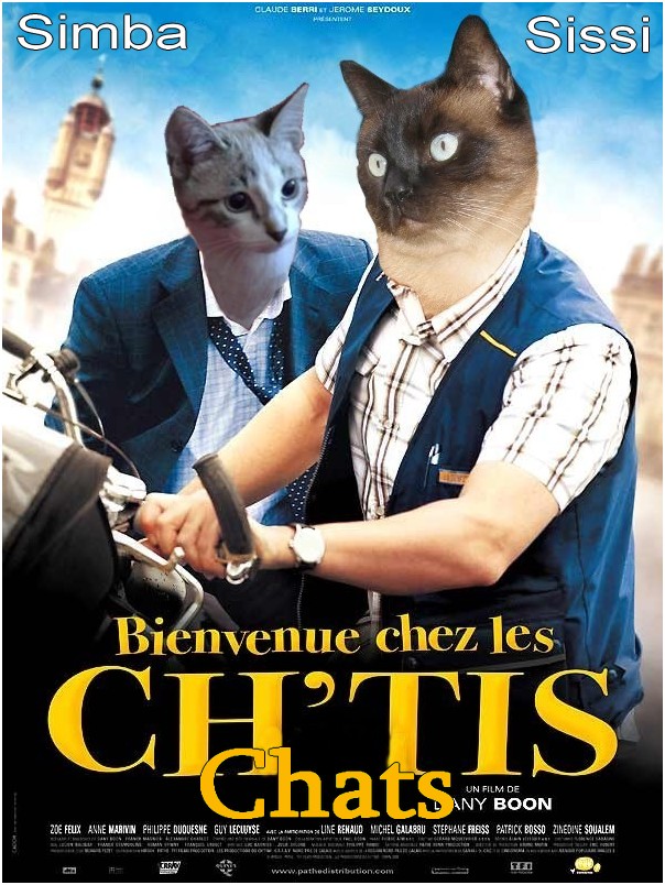 Image hébergée par Casimages.com : votre hébergeur d images simple et gratuit