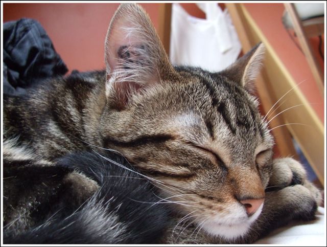Image hébergée par Casimages.com : votre hébergeur d images simple et gratuit