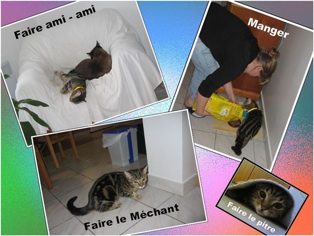 Image hébergée par Casimages.com : votre hébergeur d images simple et gratuit