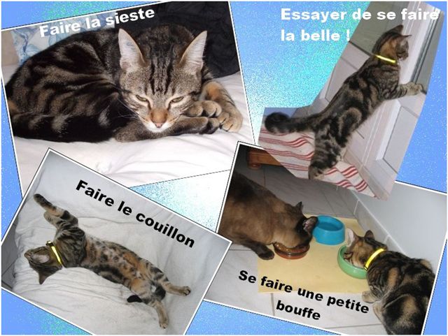 Image hébergée par Casimages.com : votre hébergeur d images simple et gratuit