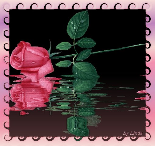 Image h&eacute;berg&eacute;e par Casimages.com : votre h&eacute;bergeur d images simple et gratuit