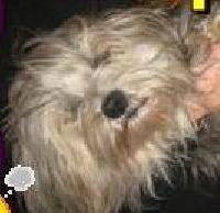 Hebergement gratuit d image et photo