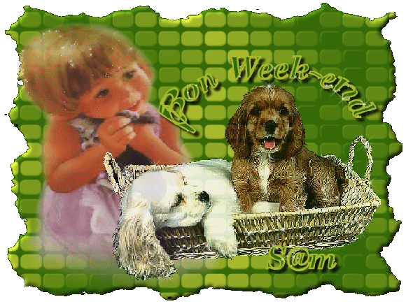 voir l'image en taille r�elle