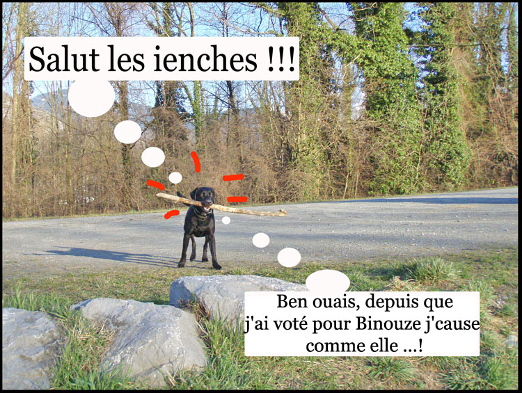 Image h�berg�e par Casimages.com : votre h�bergeur d images simple et gratuit