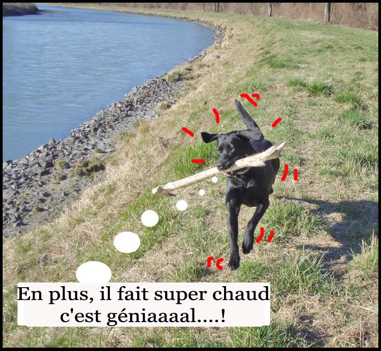Image h�berg�e par Casimages.com : votre h�bergeur d images simple et gratuit