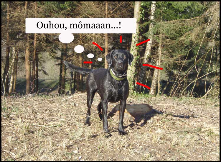 Image h�berg�e par Casimages.com : votre h�bergeur d images simple et gratuit