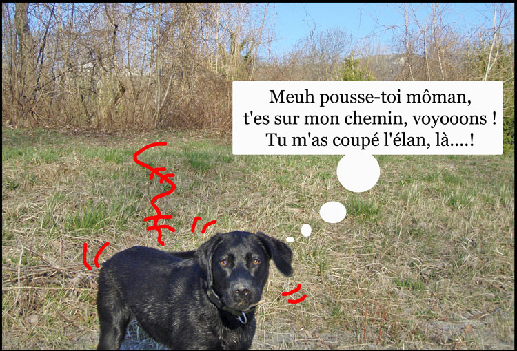Image h�berg�e par Casimages.com : votre h�bergeur d images simple et gratuit