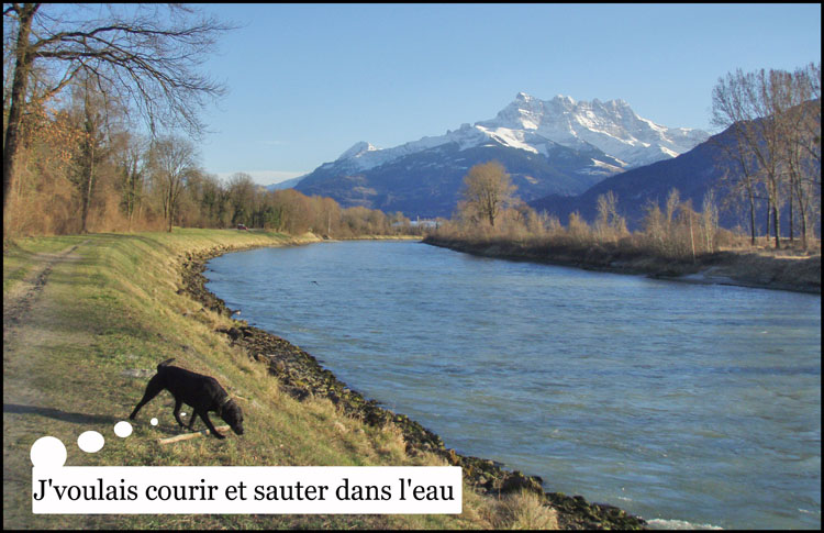 Image h�berg�e par Casimages.com : votre h�bergeur d images simple et gratuit