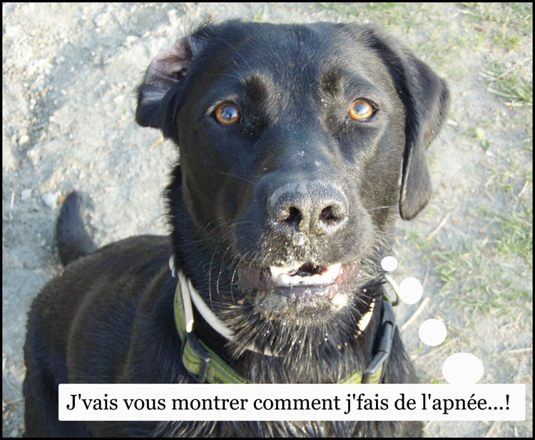 Image h�berg�e par Casimages.com : votre h�bergeur d images simple et gratuit