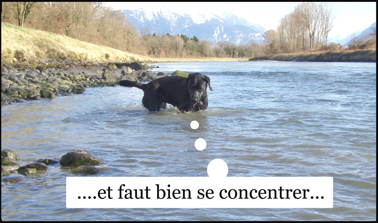 Image h�berg�e par Casimages.com : votre h�bergeur d images simple et gratuit