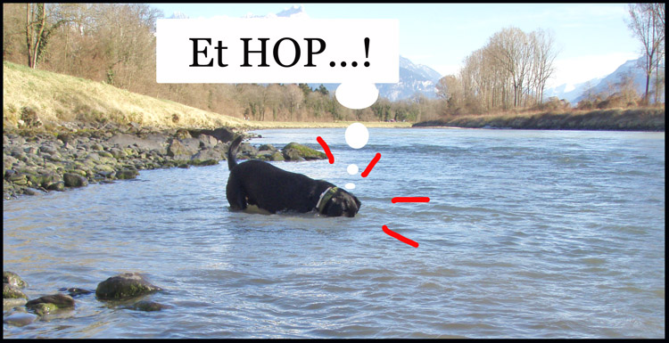 Image h�berg�e par Casimages.com : votre h�bergeur d images simple et gratuit