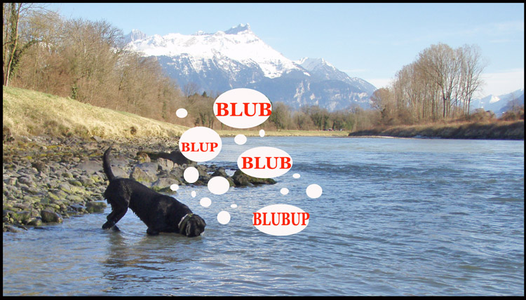 Image h�berg�e par Casimages.com : votre h�bergeur d images simple et gratuit