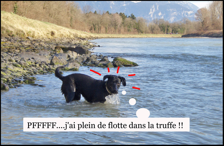 Image h�berg�e par Casimages.com : votre h�bergeur d images simple et gratuit