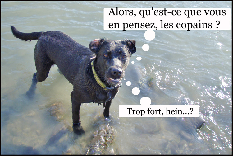 Image h�berg�e par Casimages.com : votre h�bergeur d images simple et gratuit
