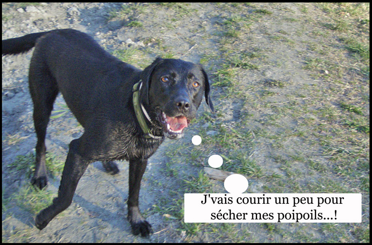 Image h�berg�e par Casimages.com : votre h�bergeur d images simple et gratuit