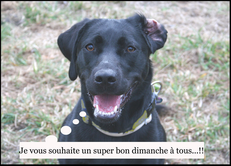 Image h�berg�e par Casimages.com : votre h�bergeur d images simple et gratuit