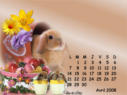 Image hébergée par Casimages.com : votre hébergeur d images simple et gratuit