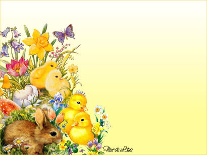 Image hébergée par Casimages.com : votre hébergeur d images simple et gratuit