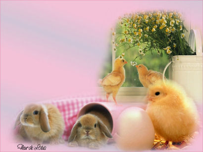 Image hébergée par Casimages.com : votre hébergeur d images simple et gratuit