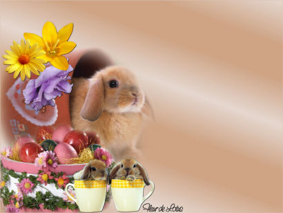 Image hébergée par Casimages.com : votre hébergeur d images simple et gratuit