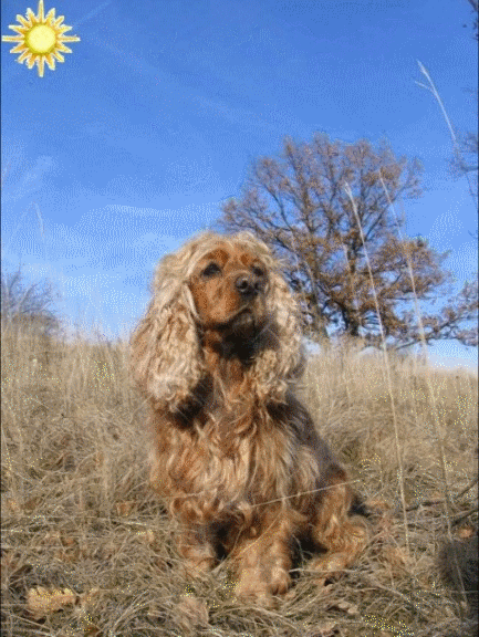 Image h�berg�e par Casimages.com : votre h�bergeur d images simple et gratuit