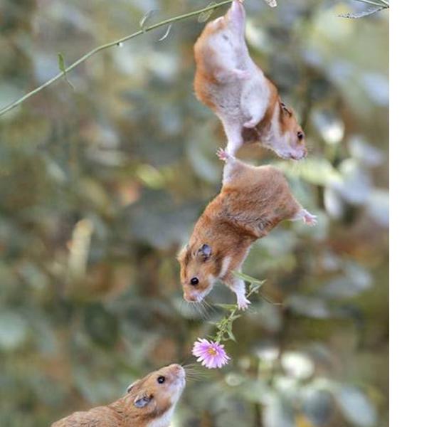 Image hébergée par Casimages.com : votre hébergeur d images simple et gratuit