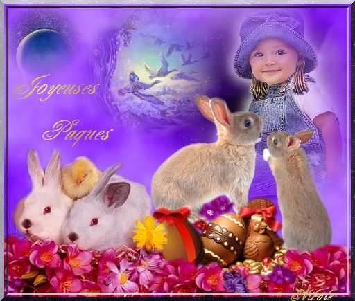 Image hébergée par Casimages.com : votre hébergeur d images simple et gratuit