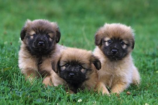 Image h�berg�e par Casimages.com : votre h�bergeur d images simple et gratuit